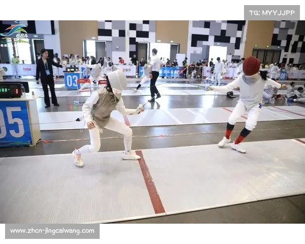 国际击剑联合会考察中国赛事承办能力为申办世锦赛提供有力支撑